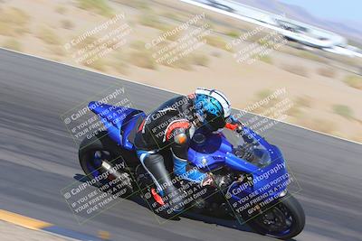 media/Nov-11-2023-SoCal Trackdays (Sat) [[efd63766ff]]/Turn 12 Inside (940am)/